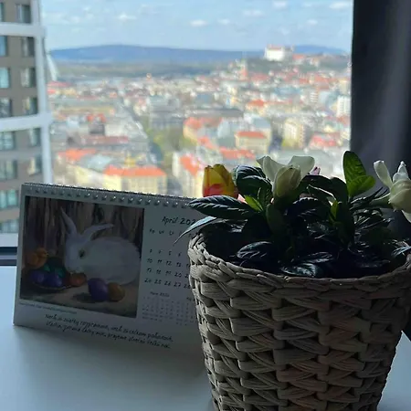 Apartment -sky House-domuses Apartments- Luxurious With Parking *