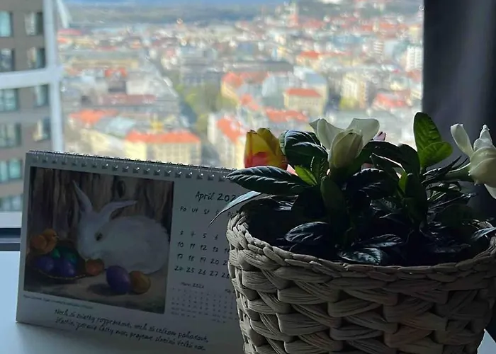 Apartment -sky House-domuses Apartments- Luxurious With Parking *